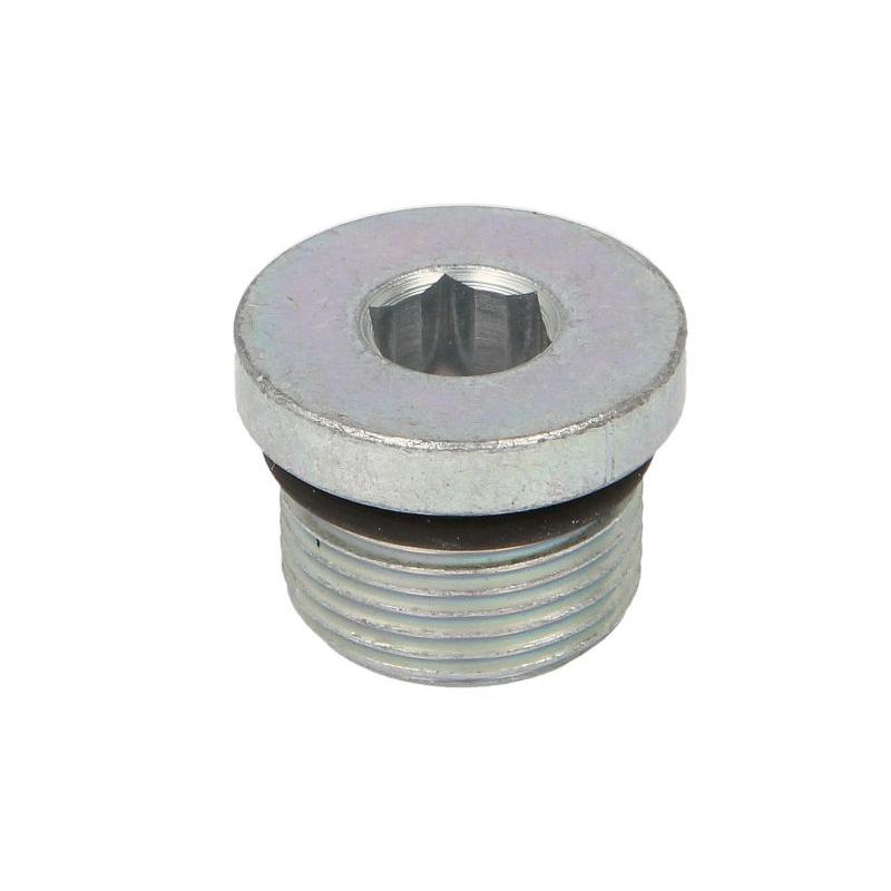 FPT 4895080 Oil Sump Screw Plug