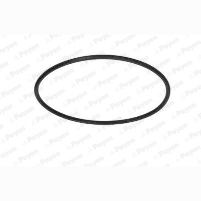 PAYEN KH007 Oil Pump Gasket Drive