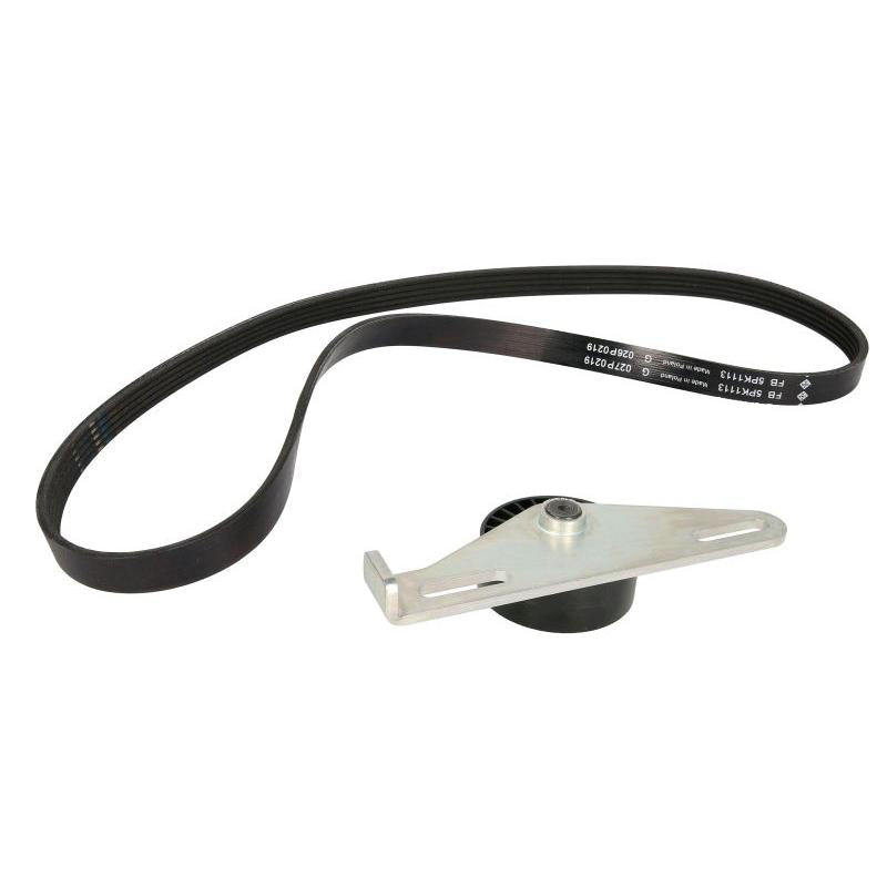 INA 529014510 V-Ribbed Belt Set