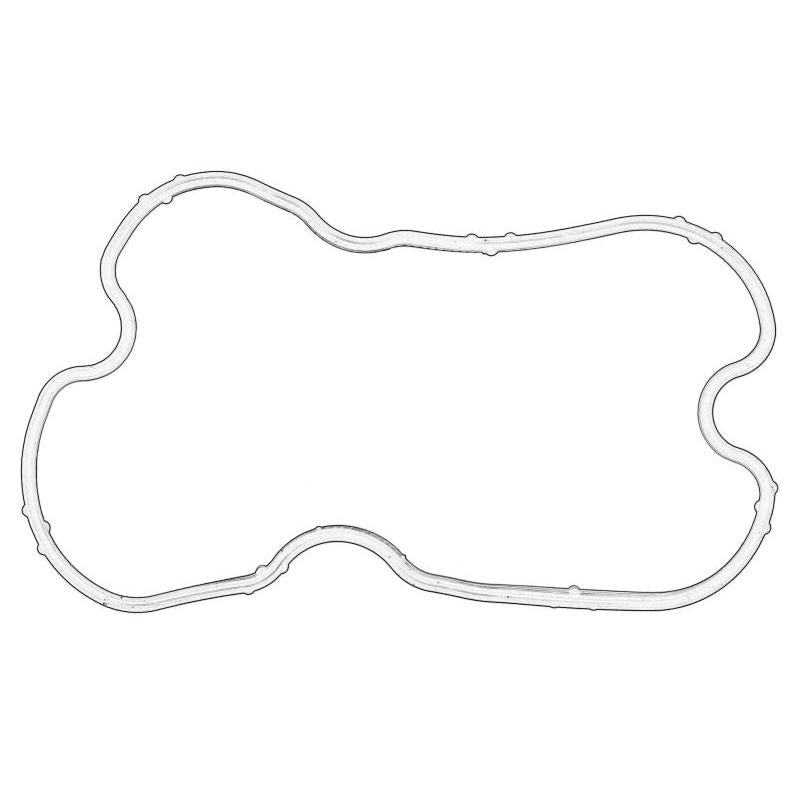 OE CNH 504173590-CNH Cylinder Head Cover Gasket
