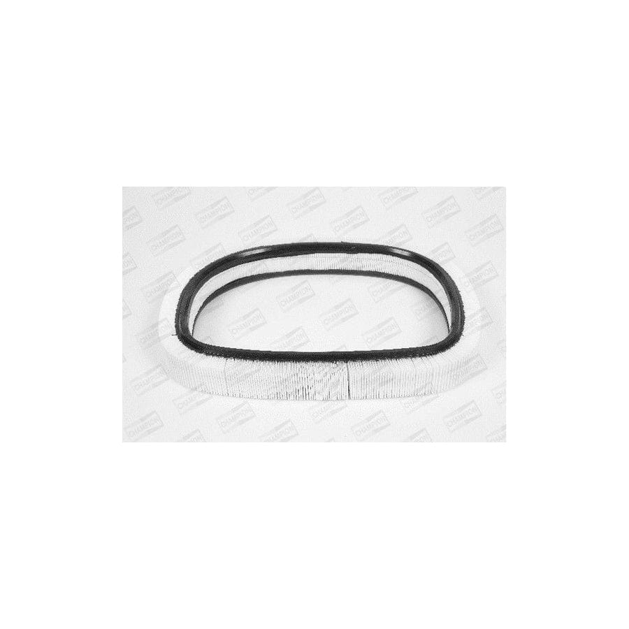Champion W228/606 Air Filter