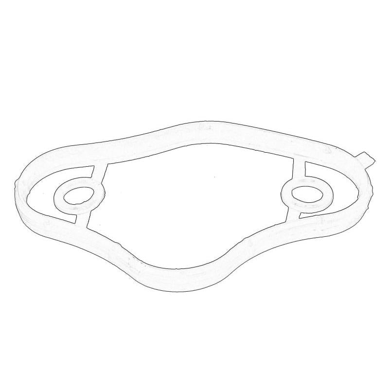 OE BMW 11127555739 Fuel Pump Gasket