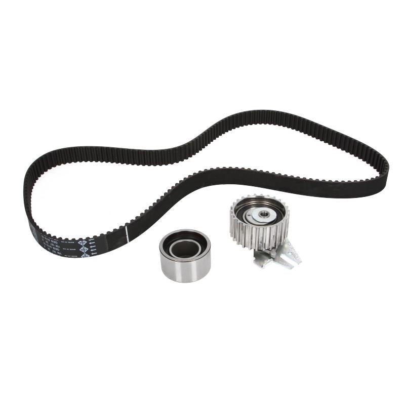 INA 530022910 Timing Belt Set