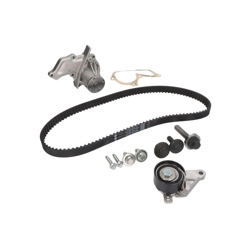 INA 530014030 Water Pump & Timing Belt Kit