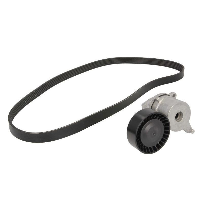 INA 529026210 V-Ribbed Belt Set