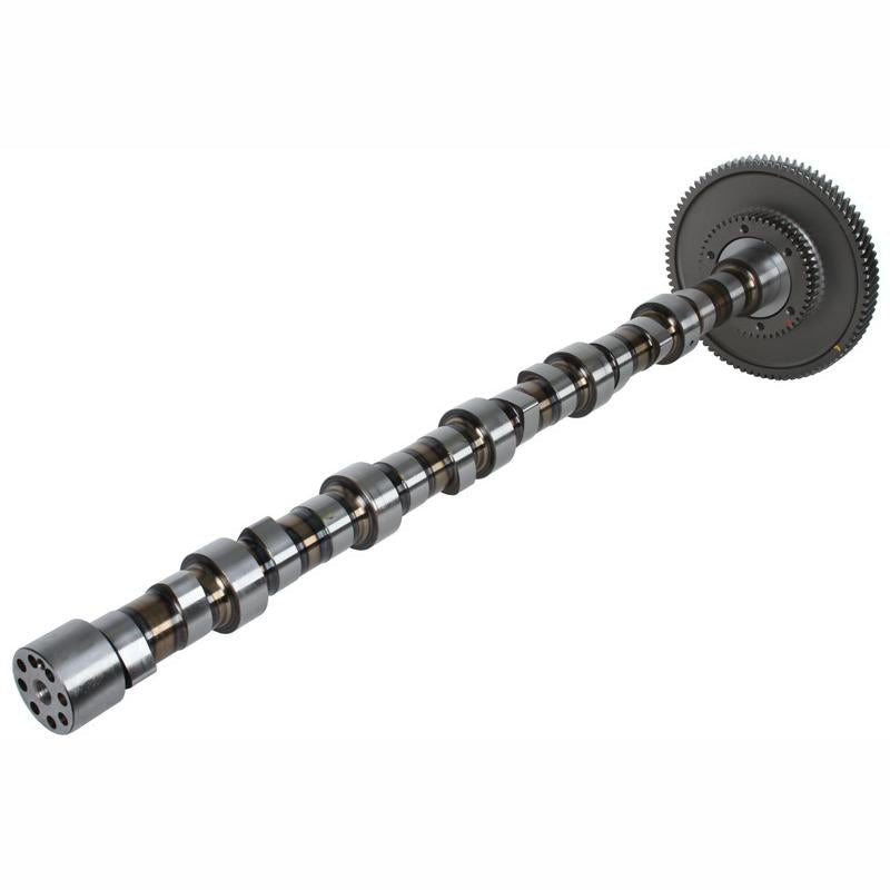 BF 20100228762 Camshaft