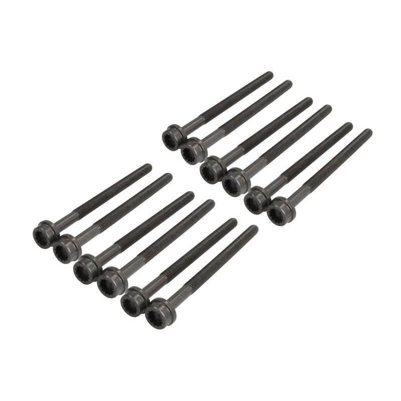 ELRING EL824990 Cylinder Head Bolt Set