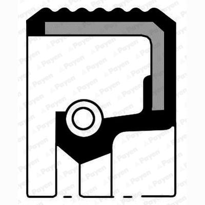 PAYEN NB856 Camshaft Shaft Seal