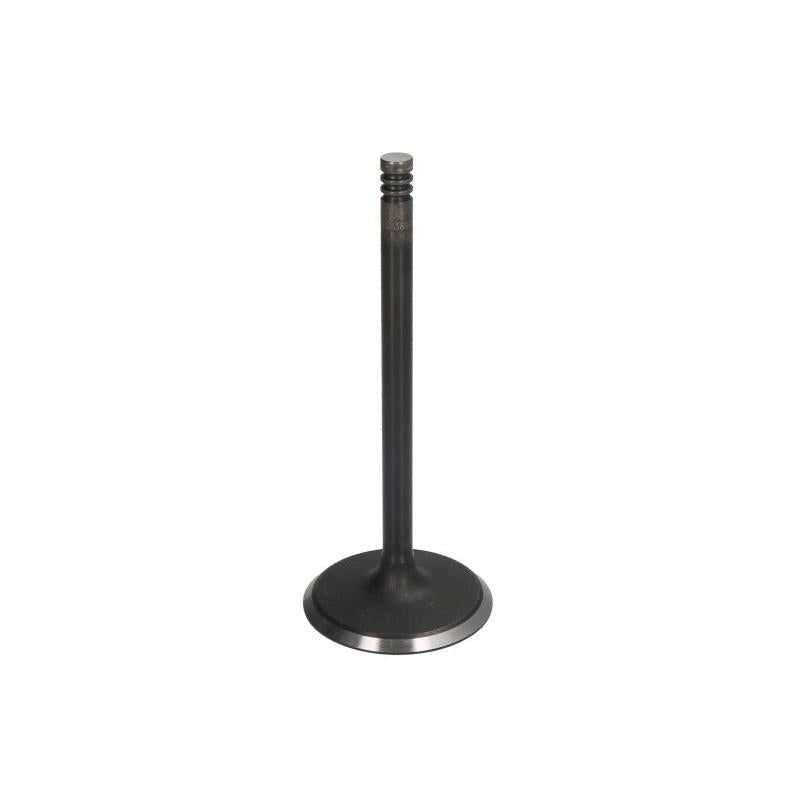 DNJ IV1160 Intake Valve