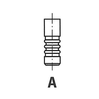 FRECCIA R6697/BMARCR Exhaust Valve