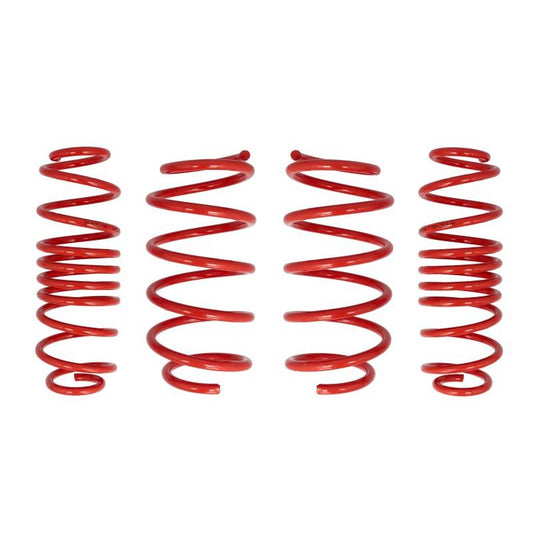 COBRA 28.9940.C Suspension Springs Set
