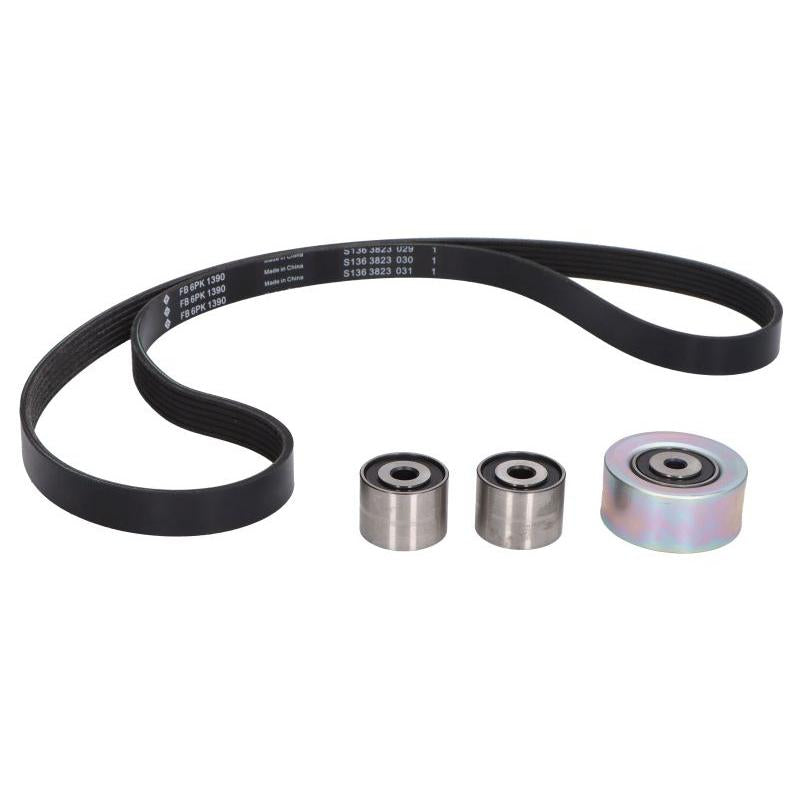 INA 529015710 V-Ribbed Belt Set