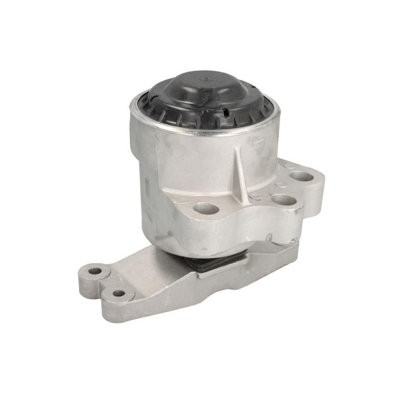 REINHOCH RH114077 Engine Mount