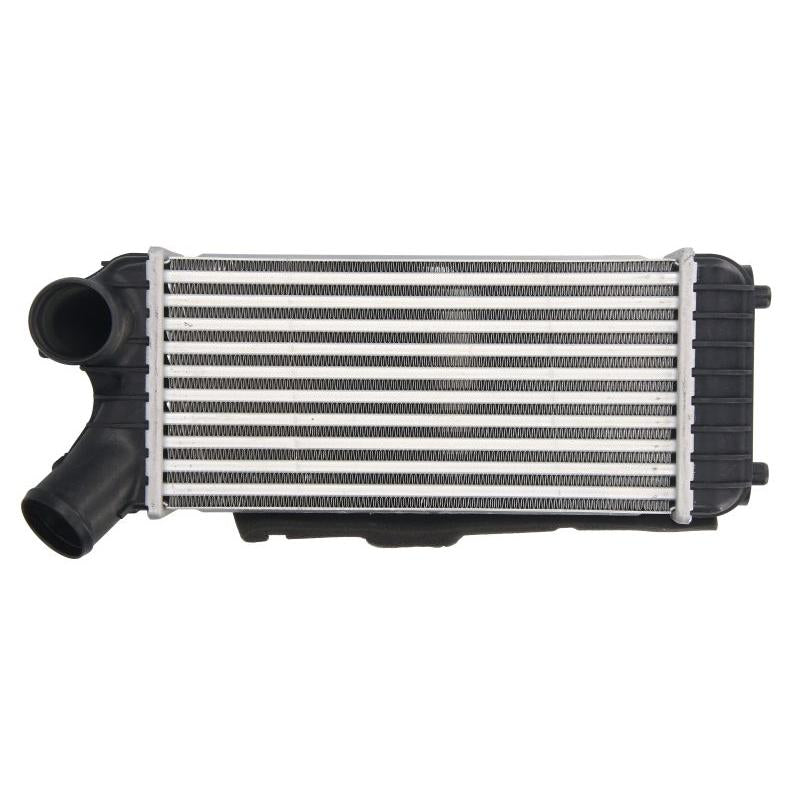 THERMOTEC DAG024TT Charge Air Cooler