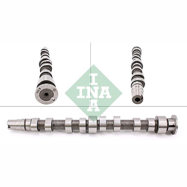 INA 428017310 Camshaft