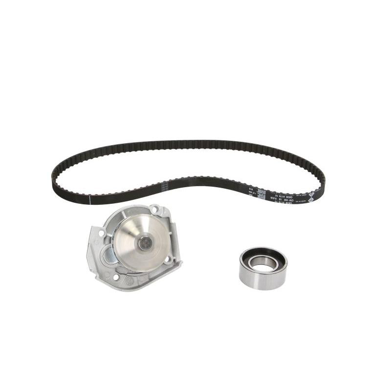 INA 530020430 Water Pump & Timing Belt Kit