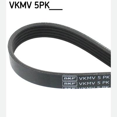 SKF VKMV5PK1230 V-Ribbed Belt