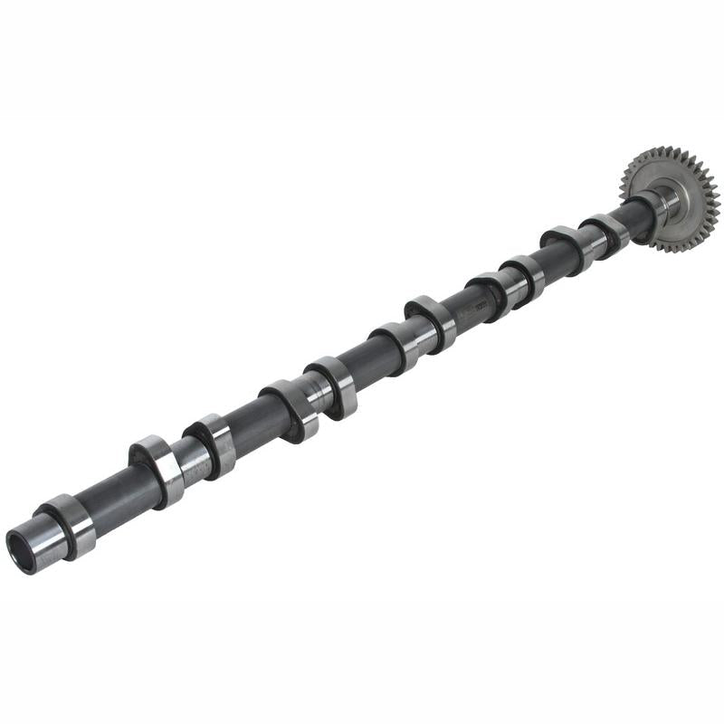 BF 20100220661 Camshaft