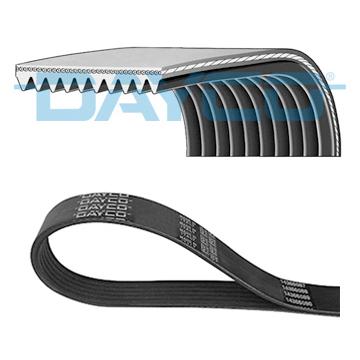 DAYCO DAY10PK2220HD V-Ribbed Belt