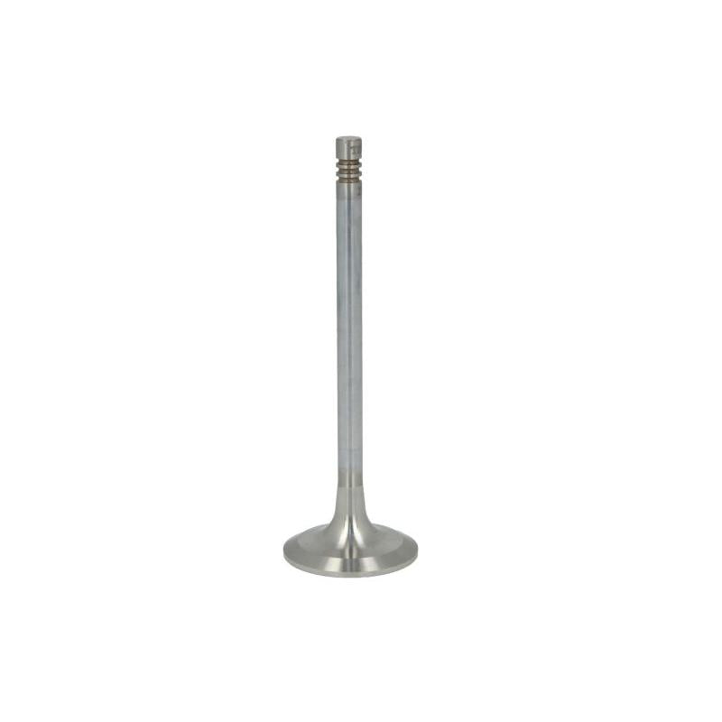 TRW 22162 Intake Valve