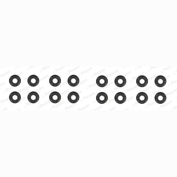 PAYEN HR791 Valve Stem Seal Set