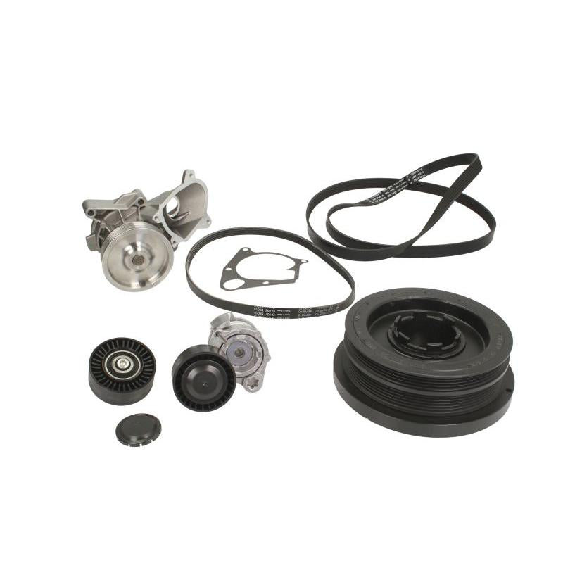 INA 529002030 Water Pump + V-Ribbed Belt Kit