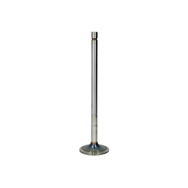 TRW 48319 Intake Valve