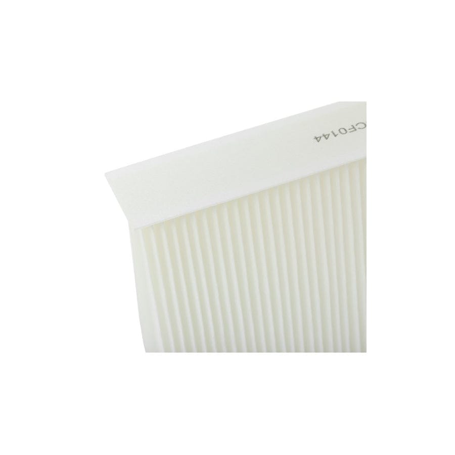 Champion Ccf0144 Pollen Filter