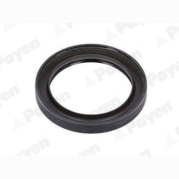 PAYEN NA5504 Crankshaft Shaft Seal