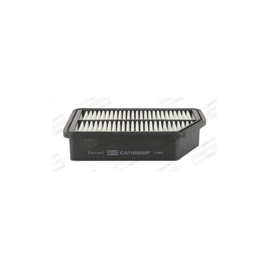 Champion Caf100935P Air Filter