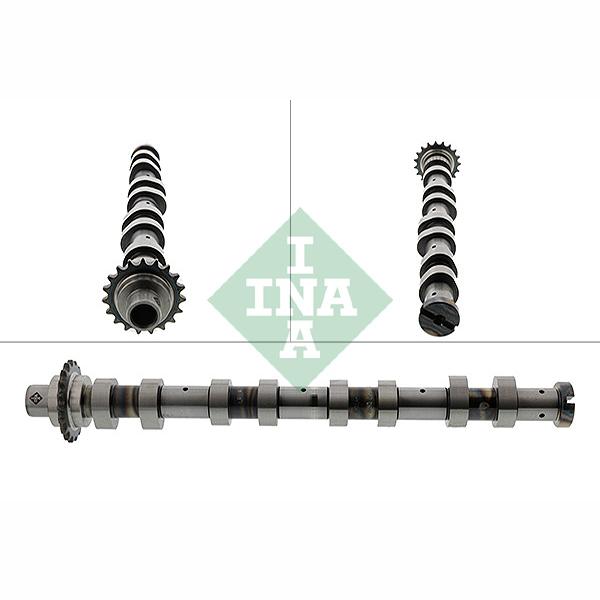 INA 428012010 Camshaft