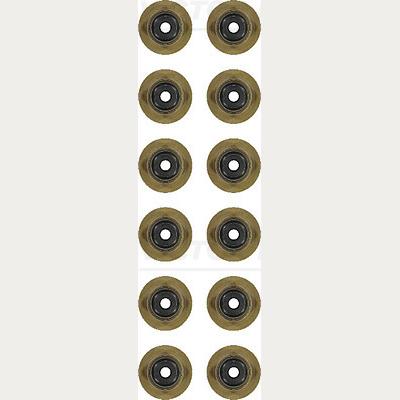 REINZ 12-54269-01 Valve Stem Seal Set