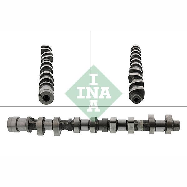 INA 428015210 Camshaft