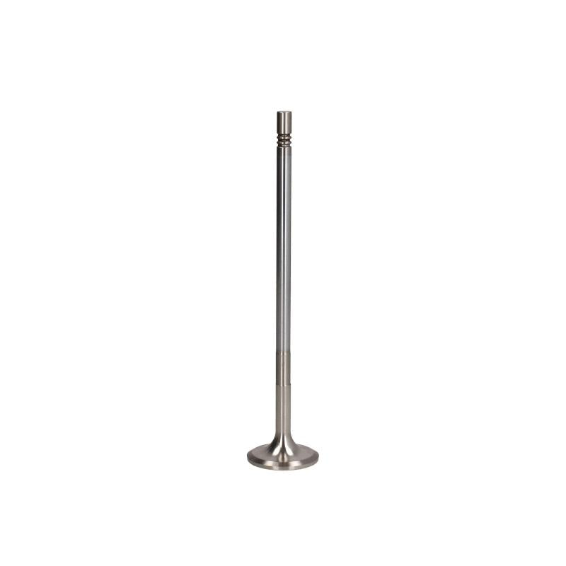 TRW 48313 Intake Valve