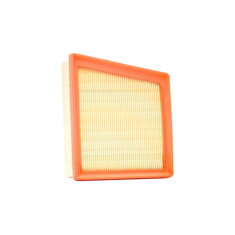 Champion Caf100435R Air Filter for Citroen Zx