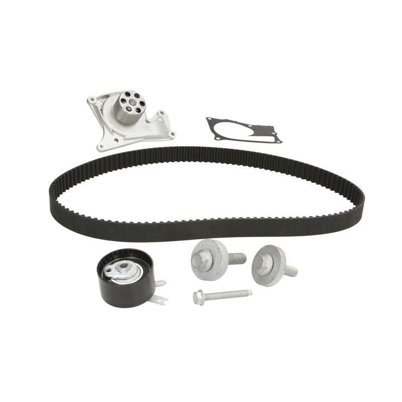 INA 530019732 Water Pump & Timing Belt Kit