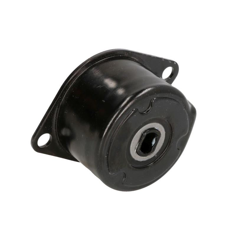 SKF VKM31005 V-Ribbed Belt Tensioner Pulley