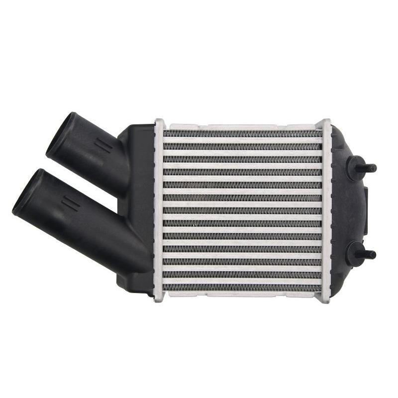 THERMOTEC DAR001TT Charge Air Cooler