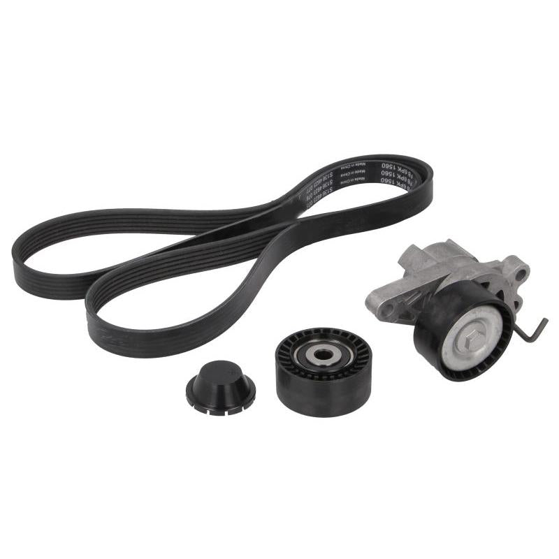 INA 529010910 V-Ribbed Belt Set