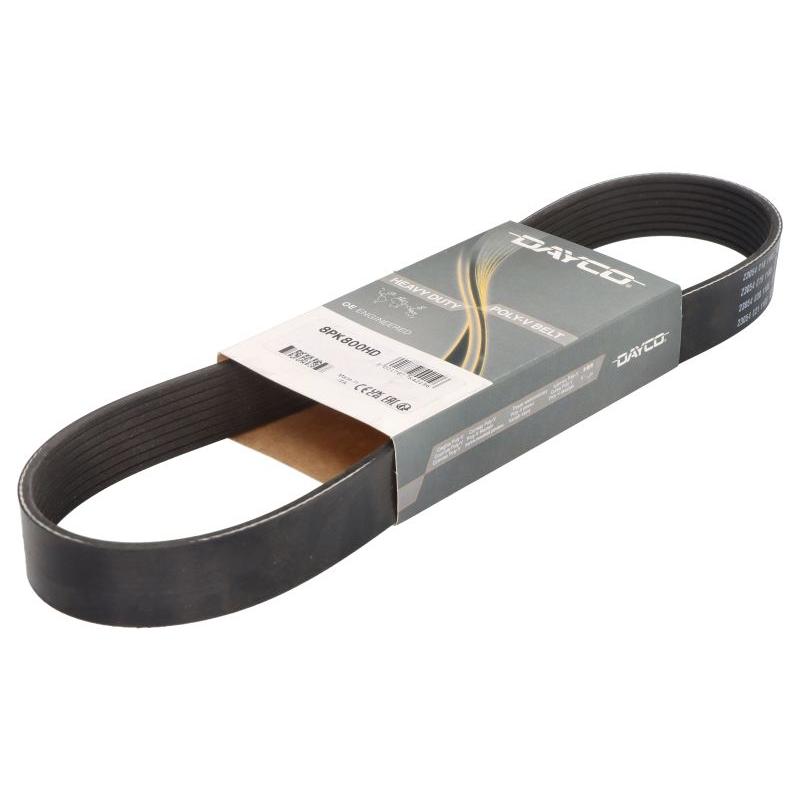 DAYCO DAY8PK800HD V-Ribbed Belt