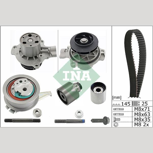 INA 530065031 Water Pump & Timing Belt Kit