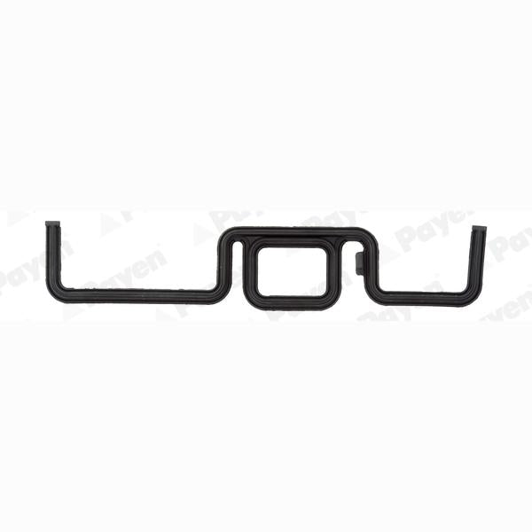PAYEN JR5031 Timing Case Gasket