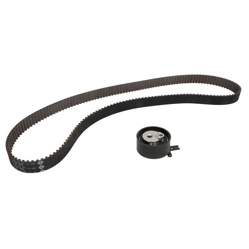 INA 530065110 Timing Belt Set