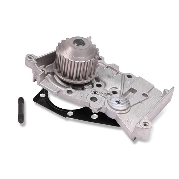 HEPU P842S Water Pump