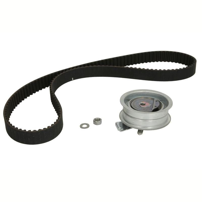 INA 530017110 Timing Belt Set