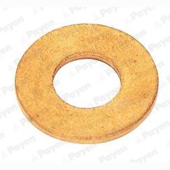 PAYEN /KG5078 Nozzle Holder Seal Ring