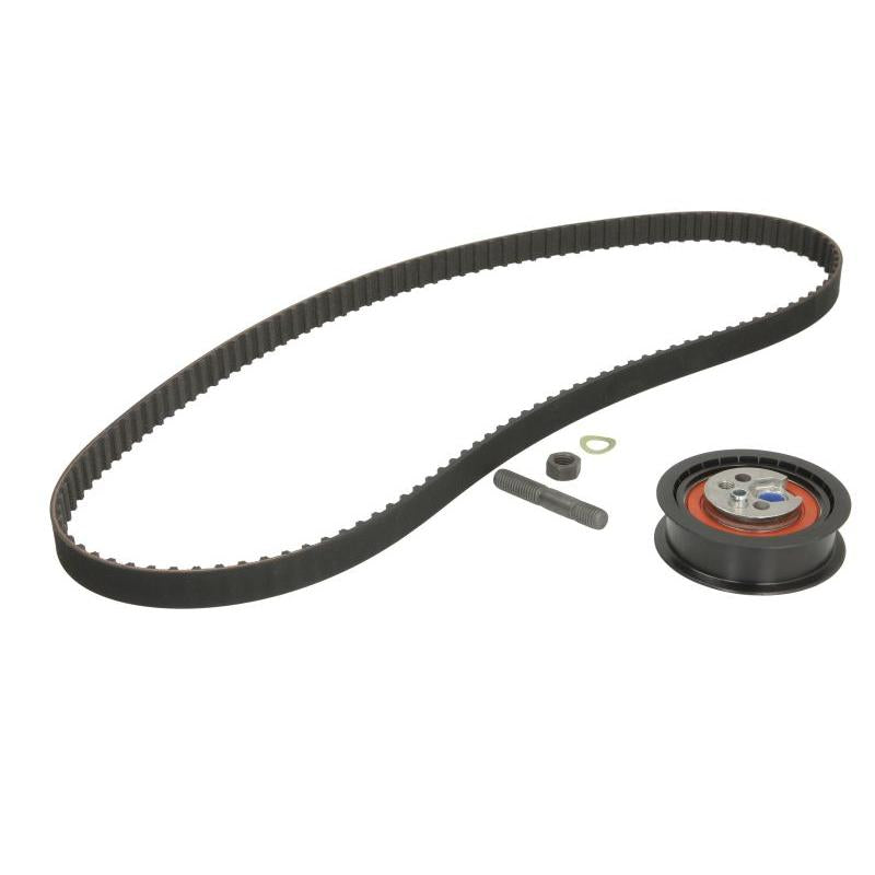 INA 530015710 Timing Belt Set