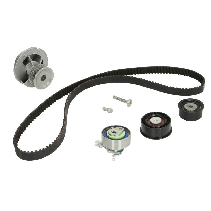 INA 530007831 Water Pump & Timing Belt Kit