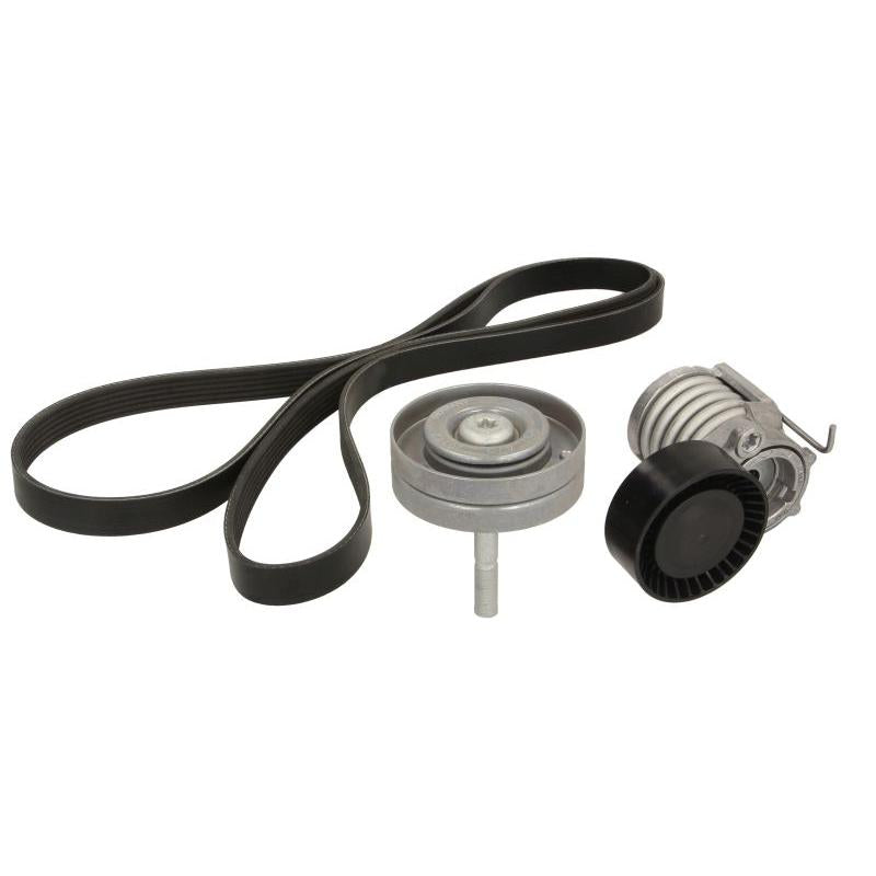 INA 529009010 V-Ribbed Belt Set