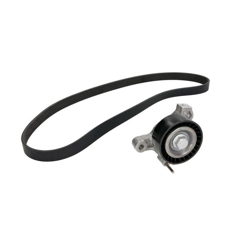 INA 529023510 V-Ribbed Belt Set